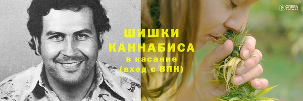 соль ск Вяземский