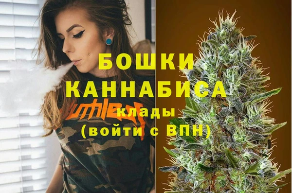 соль ск Вяземский
