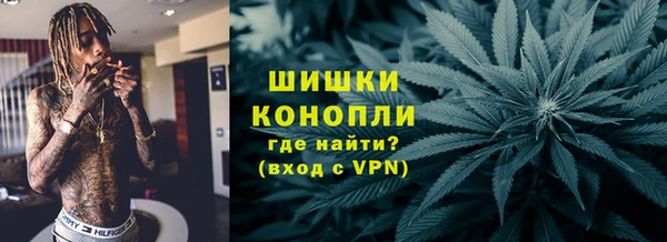 соль ск Вяземский