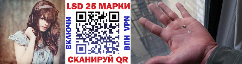 Купить где Камешково Марки N-bome 1500мкг