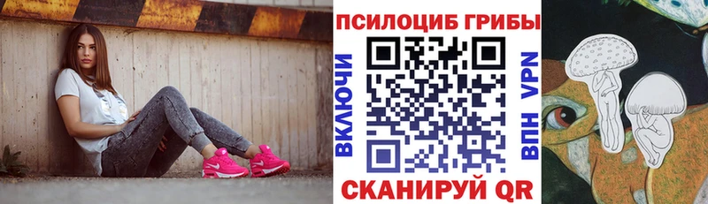 Галлюциногенные грибы прущие грибы  Купить  Камешково 
